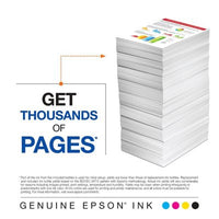 Epson T522 Black and Color Ink Bottles, Club Pack