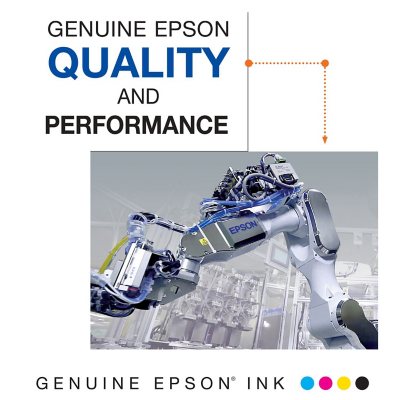 Epson T232 Dual Black and Color Ink Cartridge, Standard Capacity, Club Pack