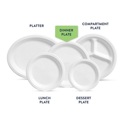 Chinet Classic Dinner Paper Plates, 10.375", 165 Ct.