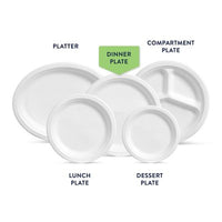 Chinet Classic Dinner Paper Plates, 10.375