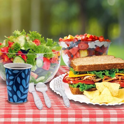 Super Strong Heavy-Duty Paper Plates, 9", 600 Ct.