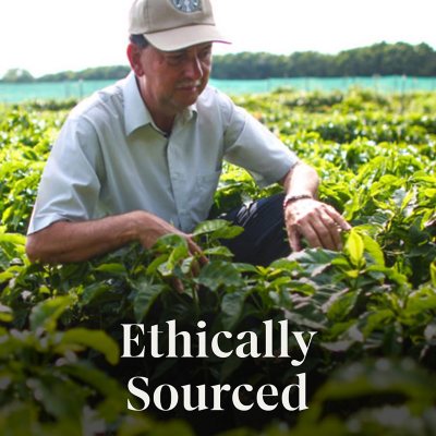 Starbucks Blonde Roast Ground Coffee, Sunsera Blend , 40 Oz.