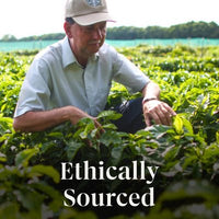 Starbucks Blonde Roast Ground Coffee, Sunsera Blend , 40 Oz.