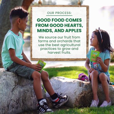 Gogo Squeez Applesauce Pouches, Apple Apple, 3.2 Oz., 32 Ct.