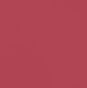 Seven Seas Lips & Cheek Tint Combo Pack of 2 | Matte Natural Blush for Women | Lip Tint with Vitamin E | Nourishing Cheek Tint (Blush Pink)