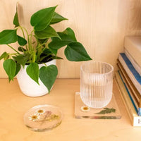 Art 101® Crafts Floral Resin Coasters Kit