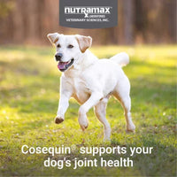 Nutramax Cosequin Maximum Strength Joint Health Supplement for Dogs with MSM and Hyaluronic Acid, 180 Chewable Tablets