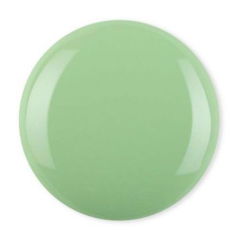 Debelle Gel Nail Polish Fleur Pistachio (Turquoise Mint Green Nail Paint)|Non Uv - Gel Glossy Finish |Chip Resistant | Seaweed Enriched Formula| Long Lasting|Cruelty And Toxic Free| 8Ml
