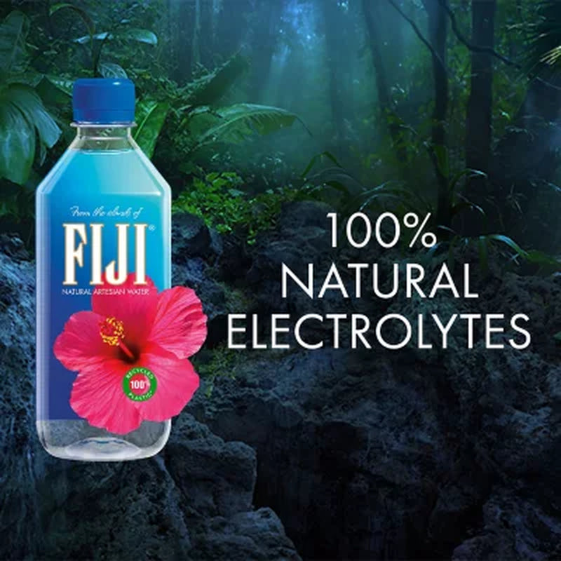 FIJI Natural Artesian Water, 16.9 Fl. Oz., 24 Pk.