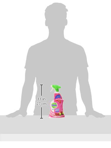 Dettol Anti Bacterial Multi Purpose Cleaner Pomegranate 750ML