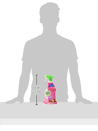 Dettol Anti Bacterial Multi Purpose Cleaner Pomegranate 750ML