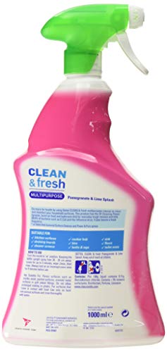 Dettol Anti Bacterial Multi Purpose Cleaner Pomegranate 750ML