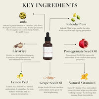 Sadhev Ayurvedic Vitamin C Serum - 10ml