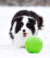 Jolly Pets Large Soccer Ball Floating-Bouncing Dog Toy, 8 inch Diameter, Apple Green Large/X-Large: 8 Inch Diameter
