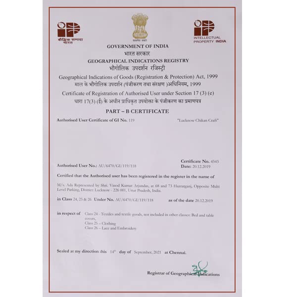 Ada Women's  Hand Embroidered Lucknowi Chikankari Georgette Short Top Kurti with Slip