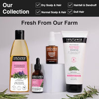 Soulflower Rosemary Essential Oil for Hair Growth, Hair Fall Control & Nourishment, Skin Care | 100% Pure, Natural, Undiluted Clinically Tested & Ecocert Organic Certified | 15ml each (Pack of 3)