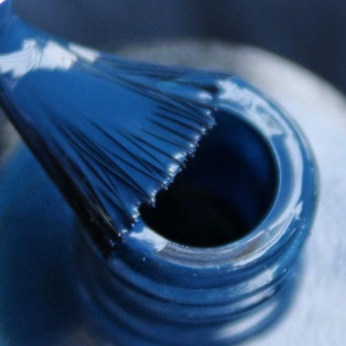 DeBelle Gel Glossy Finish Nail Polish Bleu Allure(Navy Blue), 8 Ml - Enriched With Natural Seaweed Extract, Cruelty Free, Toxic Free