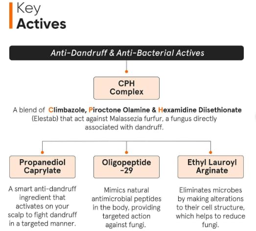 Minimalist Anti-Dandruff Hair Serum for Scalp | Pre Shampoo Treatment with CPH Complex & Oligopeptide 0.8% | With Elestab Advanced Anti Dandruff Molecule | For Women & Men | 50ml