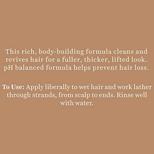 Biotique Bio Walnut Volume and Bounce Shampoo and Conditioner | For Fine and Thinning Hair| Volumizing Shampoo for Thin Hair |100% Botanical Extracts |340ml