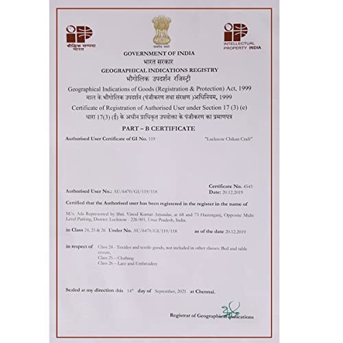 Ada Women's  Hand Embroidered Lucknowi Chikankari Georgette Short Top Kurti with Slip