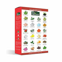 INDUS VALLEY Bio Organic Hibiscus Flower Powder for Face Pack and Hair Mask, Natural Pure Hibiscus Rosa-Sinensis Hair & Skin Care, Gudhal Ka Phool Powder For Dull Hair & Dry Scalp - 100g