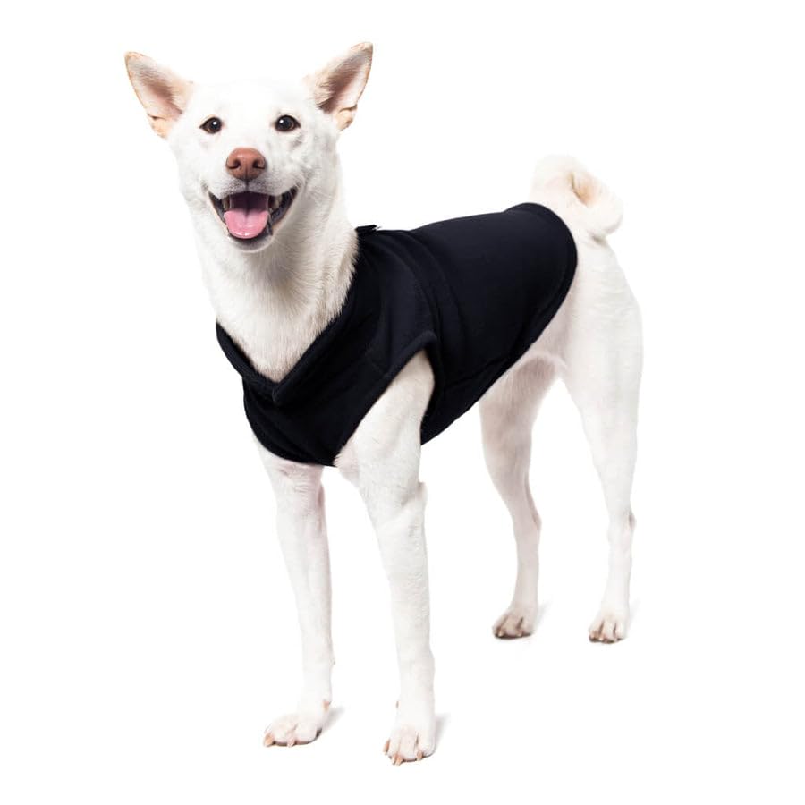 Gooby Fleece Vest Dog Sweater - Black, X-Small - Warm Pullover Fleece Dog Jacket with O-Ring Leash - Winter Small Dog Sweater Coat - Cold Weather Dog Clothes for Small Dogs Boy or Girl X-Small (Around 4-lb)