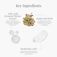 Forest Essentials Sanjeevani Herb Infused Day Cream | Pre-Moisturiser Day Cream Evens Out Skin Texture | Revives Damaged Cells | With Omega 3, 6, & 9, Hyaluronic Acid, Red Algae Extracts