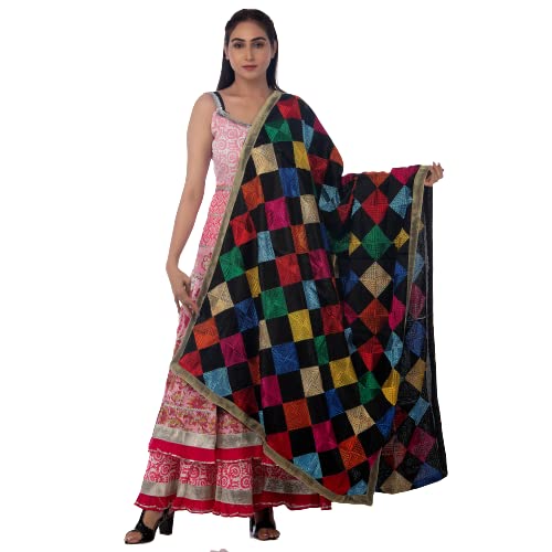 Traditions Bazaar Women's  Embroidered Chiffon Dupatta