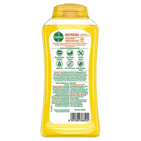 Dettol Body Wash and Shower Gel for Women and Men, Refresh - 250ml | Soap-Free Bodywash | 12h Odour Protection (Pack of 2)