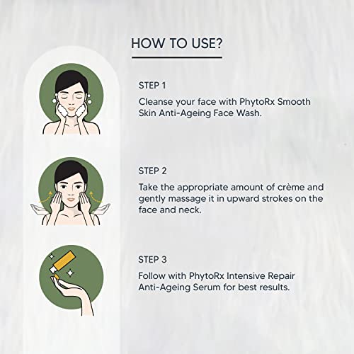 Lotus Professional Phyto Rx Skin Renewal Anti Ageing Night Cream, Natural, 50 g