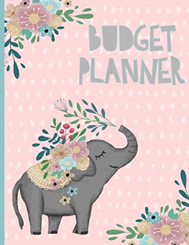 Budget Planner: Monthly Expenses, Money, Savings, Bill Tracker, Yearly, Debt Organizer, Payment Income log, Budgeting Notebook. Pink