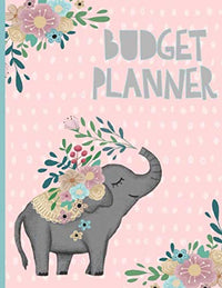 Budget Planner: Monthly Expenses, Money, Savings, Bill Tracker, Yearly, Debt Organizer, Payment Income log, Budgeting Notebook. Pink