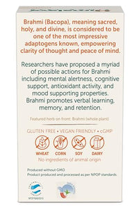 Himalaya Organic Bacopa (Brahmi) I For Mental Alertness I Improves Memory Score by 30%* I Supports Positive Mood I 100% Natural I 30 Veg Caplets