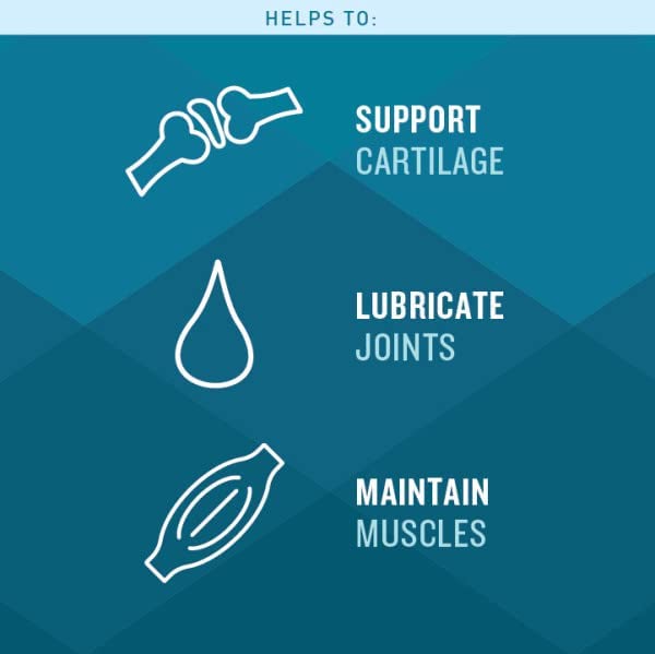 VetIQ Glucosamine Hip & Joint Supplement for Dogs, 60 Soft Chews, Dog Joint Support Supplement with MSM and Krill, Dog Health Supplies Large & Small Breed, Chicken Flavored Chewables Standard Strength 60 Count (Pack of 1)