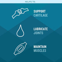 VetIQ Glucosamine Hip & Joint Supplement for Dogs, 60 Soft Chews, Dog Joint Support Supplement with MSM and Krill, Dog Health Supplies Large & Small Breed, Chicken Flavored Chewables Standard Strength 60 Count (Pack of 1)