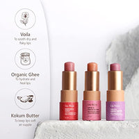 SoulTree Ayurvedic Lip Balm - Calendula & Honey with Organic Ghee | Heals and Hydrates Lips - 3.5gm