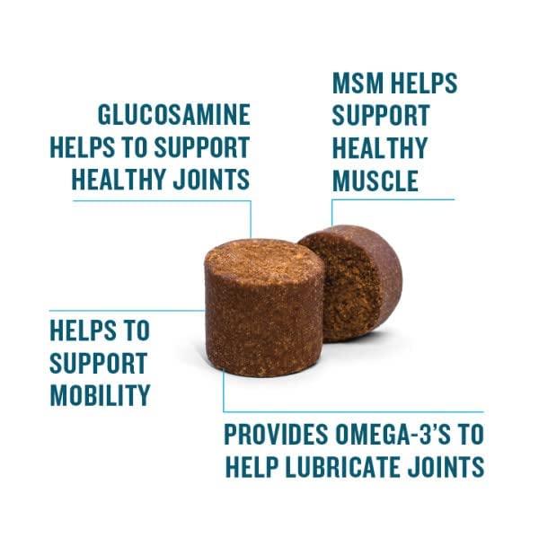 VetIQ Glucosamine Hip & Joint Supplement for Dogs, 60 Soft Chews, Dog Joint Support Supplement with MSM and Krill, Dog Health Supplies Large & Small Breed, Chicken Flavored Chewables Standard Strength 60 Count (Pack of 1)