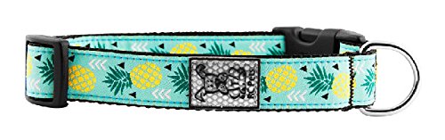 RC Pets 1 Inch Adjustable Dog Clip Collar, Medium, Pineapple Parade M (Neck: 12"-20", Strap Width: 1")