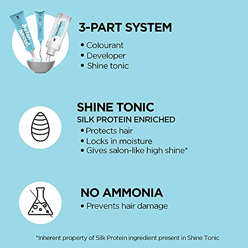 Bblunt Salon Secret High Shine Crème Hair Colour, 100g (Cherry Red 6.62)