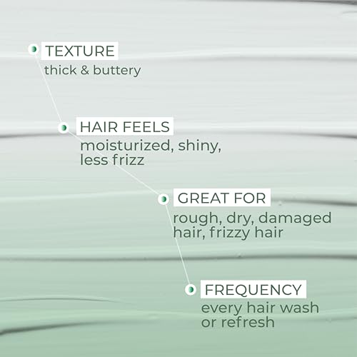 Ashba Botanics Leave-in Conditioner for Frizzy, Wavy & Curly Hair | Hair Cream For Men & Women | Moisturizes, Protects, Nourishes & Adds Shine to Dry & Damaged Hair | Silicone Free (50, millilitre)