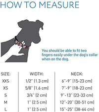 RC Pets 5/8 Inch Adjustable Dog Clip Collar, X-Small, Bright Paisley X-Small - 0.6
