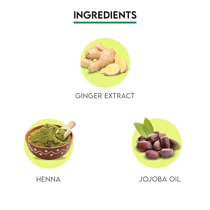 Jovees Herbal Mehandi/Henna Powder | With Amla, Shikakai & Brahmi Powder | For Extra Conditioning | Control Hair Fall & Repairs Damaged Hair 150G