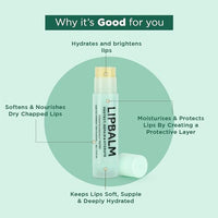 Bella Vita Organic Natural LipBalm for Dry Damaged & Chapped Lips Enriched with Shea Butter, Avocado 4 gm (Pack of 2)