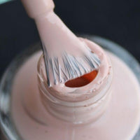 DeBelle Gel Nail Polish Peony Blossom (Nude Nail Paint)|Non UV - Gel Finish |Chip Resistant | Seaweed Enriched Formula| Long Lasting|Cruelty and Toxic Free| 8ml