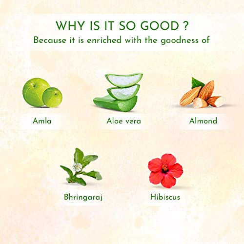 moha: Hair Essentials Kit Includes Herbal Shampoo 100ml, 5 in 1 Hair Oil 200ml, & Hair Serum 100ml | Complete Hair Care Range For Healthy & Soft Hair | Unisex Product