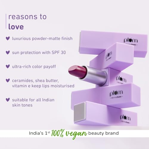 Plum Velvet Haze Matte Lipstick with SPF 30 | Powder Matte Finish | Highly Pigmented | With Ceramides | 02 Playful Pink