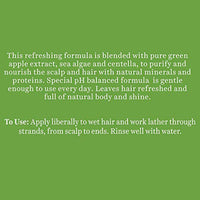 Biotique Green Apple Shine & Gloss Shampoo & Conditioner| Promotes Healthy, Shiny and Glossy Hair | Nourishes Scalp | Makes Hair Soft & Smooth |100% Botanical Extracts| All Skin Types | 650ml