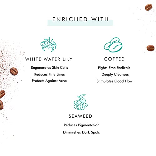 mCaffeine Tan Removal Face Wash Pack of 2-200ml | Face Wash Combo Pack Offer for Oily Skin & Normal Skin | Face Wash for Men & Women | Oil Control & Detan Cleanser Combo