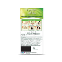 Garnier, Hair Colouring Creme, Long-lasting Colour, Smoothness & Shine, Color Naturals, Shade: 1 Natural Black, 70ml + 60g (Pack of 2)