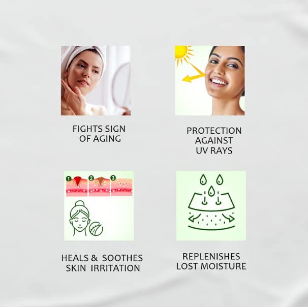 Bakson Sunny Aloevera & Calendula All Purpose Face Cream | Helps Prevent Scarring, Sunburn | Calendula Suitable For Delicate Skin | 500 gm